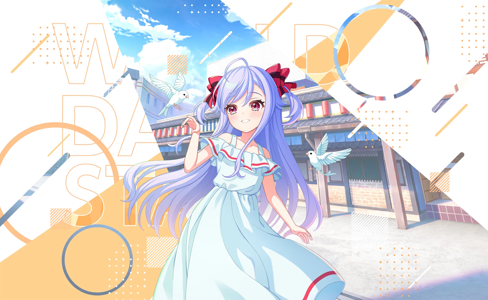 新妻八恵 プロフィール